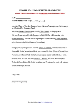 Guarantee Letter Sample 2