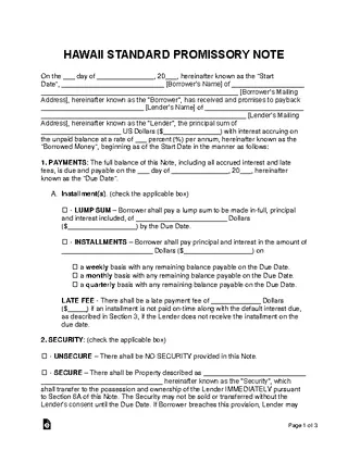 Hawaii Standard Promissory Note Template