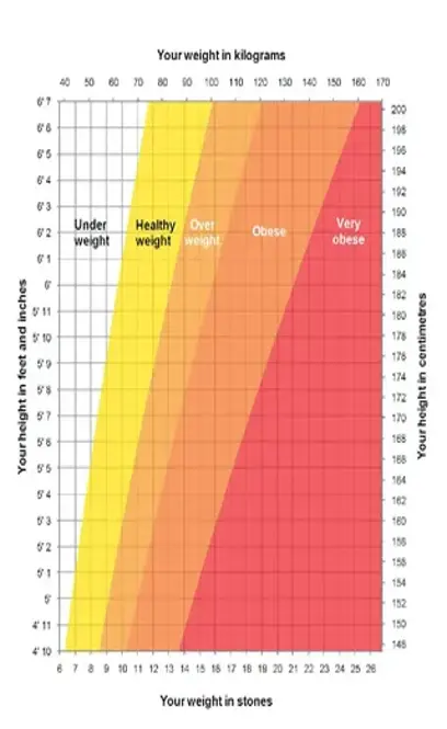 Height And Weight Chart Template For Men