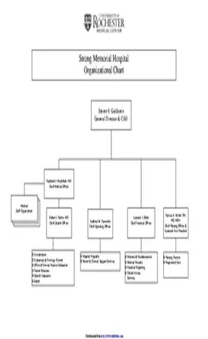 Hospital Organizational Chart 3