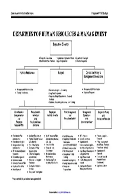 Human Resources Organizational Chart 4