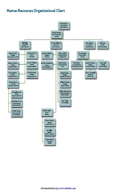 Human Resources Organizational Chart 5