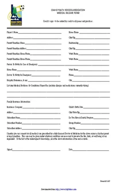 Idaho Medical Release Form