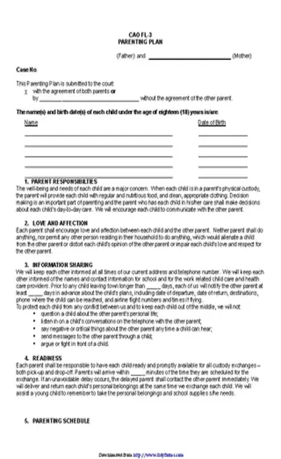 Idaho Parenting Plan Form