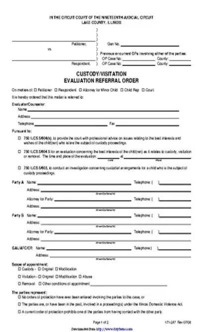 Illinois Child Custody Form