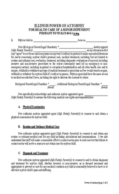 Illinois Minor Child Power Of Attorney Form