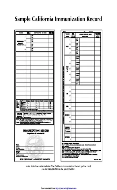 Immunization Card Template