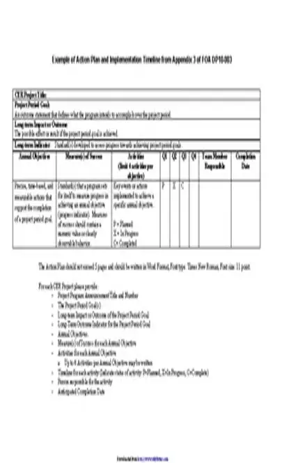 Implementation Plan Example