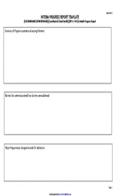 Interim Progress Report Template