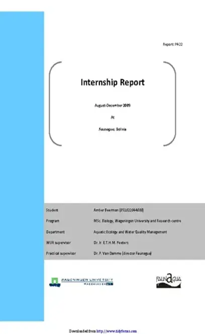 Internship Report 3