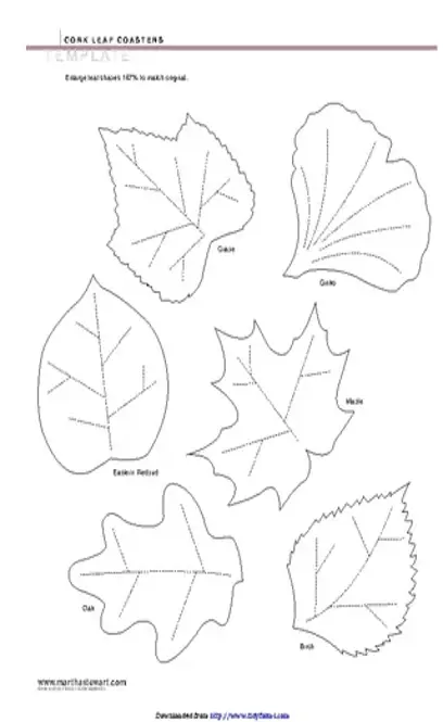 Leaf Template 1