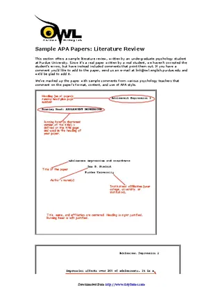 Literature Review Example 1