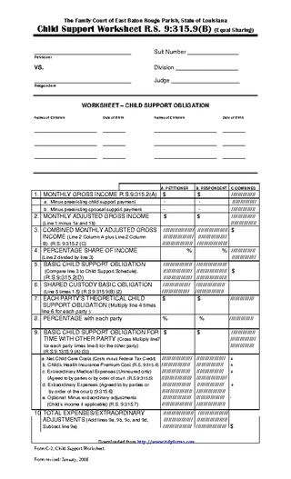 Louisiana Child Custody Form