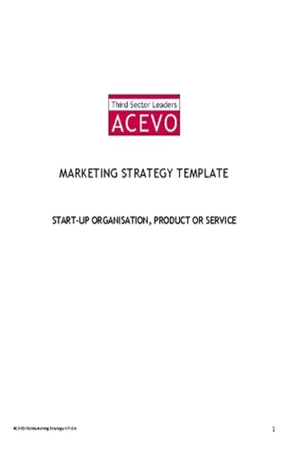 Marketing Strategy Template2 1