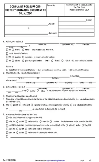 Massachusetts Child Custody Form