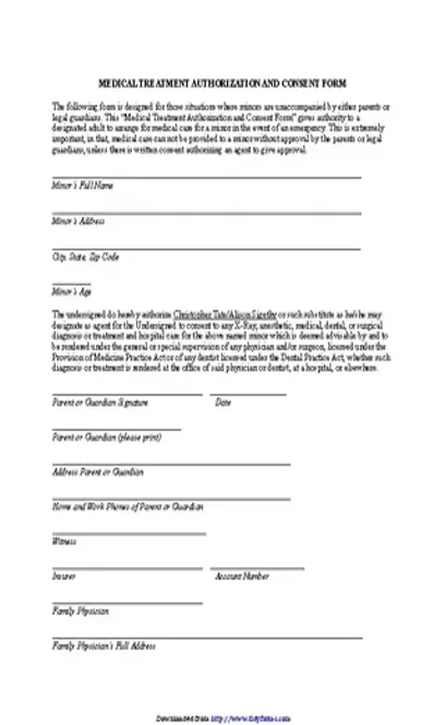 Medical Treatment Authorization And Consent Form