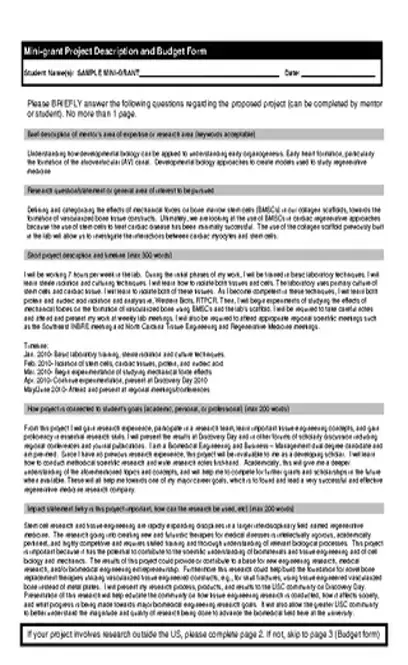 Mini Grant Project Description Budget Form Template