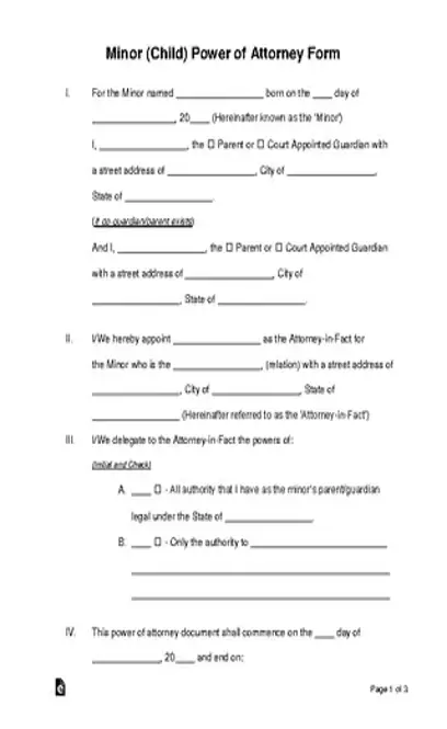 Minor Child Parental Power Of Attorney Form