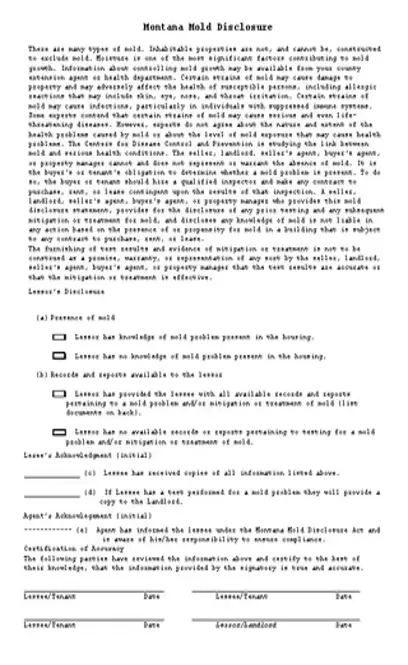 Example Document