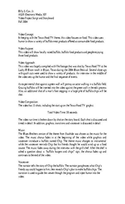 Movie Script Writing Template Example