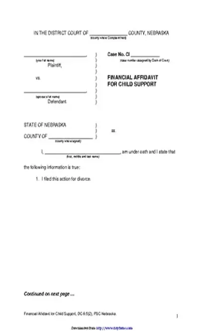 Nebraska Financial Affidavit For Child Support Form