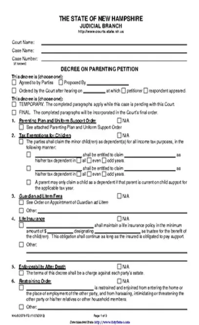 New Hampshire Decree On Parenting Petition Form