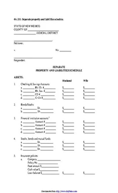 New Mexico Separate Property And Liabilities Schedule Form