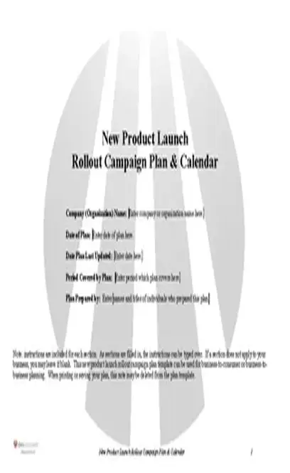 New Product Launch Plan Template