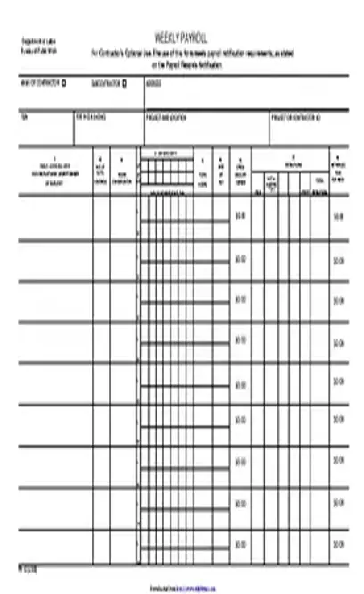 New York Weekly Payroll Form