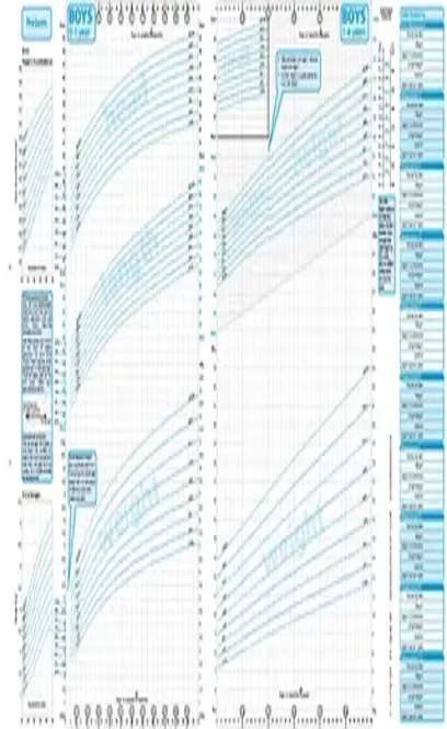 Newborn Baby Growth Chart Template