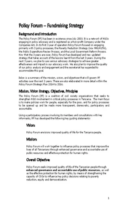 Ngo Fundraising Strategy Template