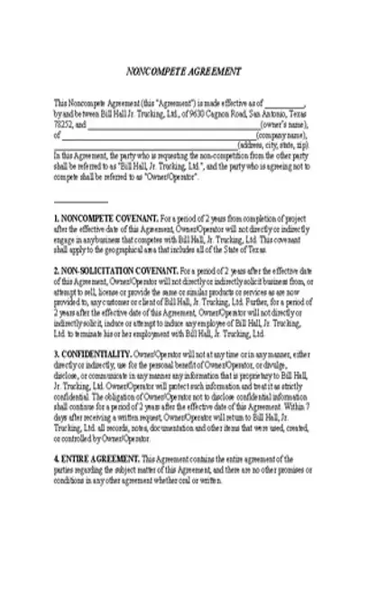 Non Compete Agreement Form