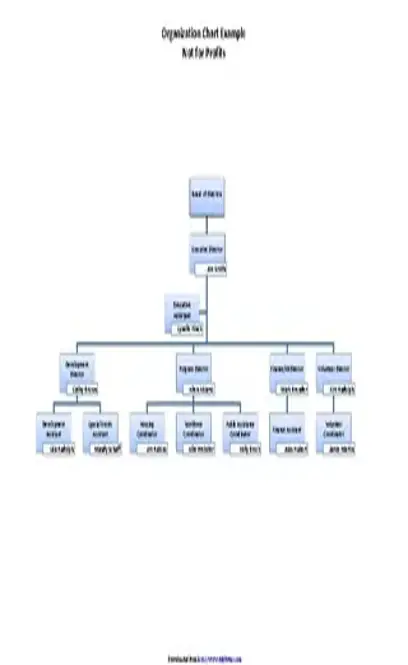 Non Profit Organizational Chart 2