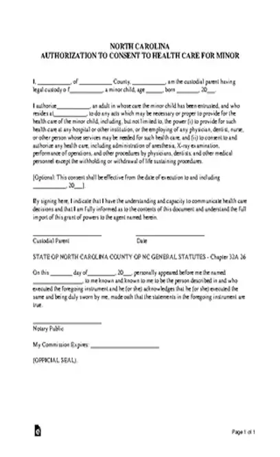 North Carolina Minor Child Power Of Attorney Form