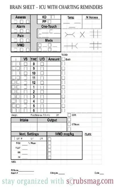 Nursing Worksheet Brain Sheet Template Download