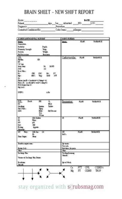 Nursing Worksheet Template Example For Pdf