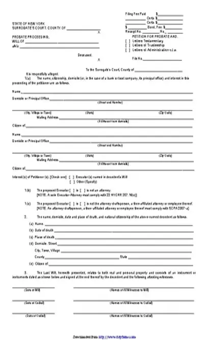 Ny Petition For Probate