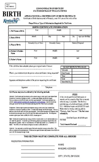 Online Birth Certificate Information Template