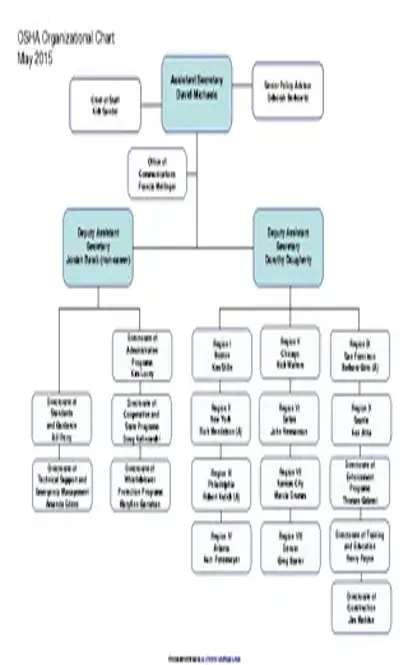 Organization Template