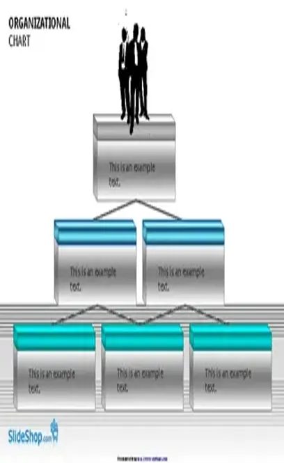 Organizational Chart Template 1