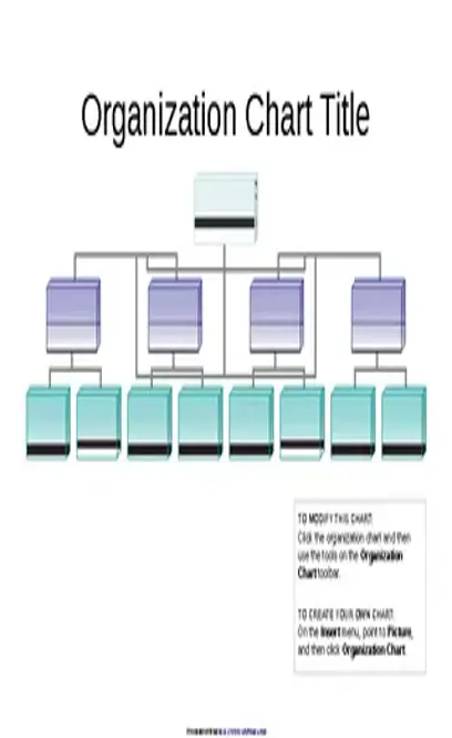 Organizational Chart Template 2