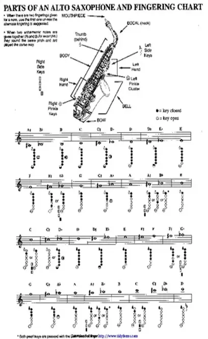 Parts Of An Alto Saxophone And Fingering Chart