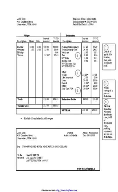 Pay Stub Template 2