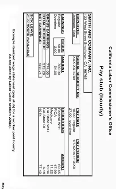 Pay Stub PDF