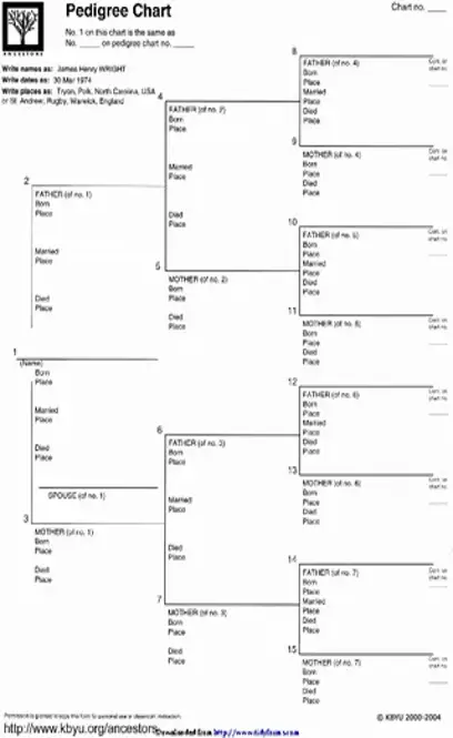 Pedigree Chart 1