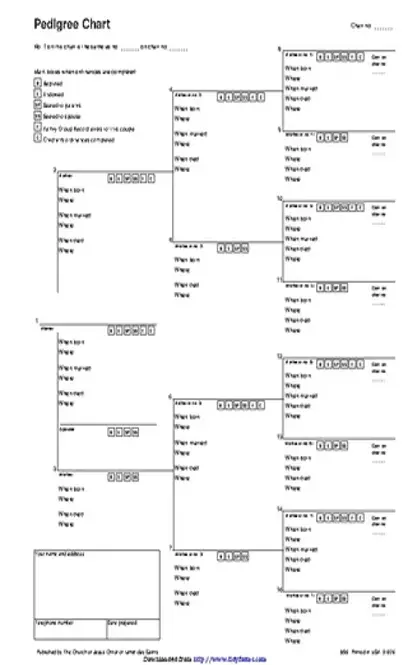 Pedigree Chart 3