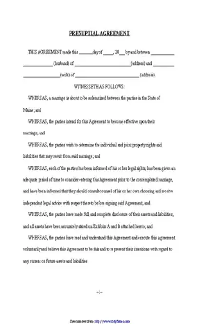 Prenuptial Agreement 1