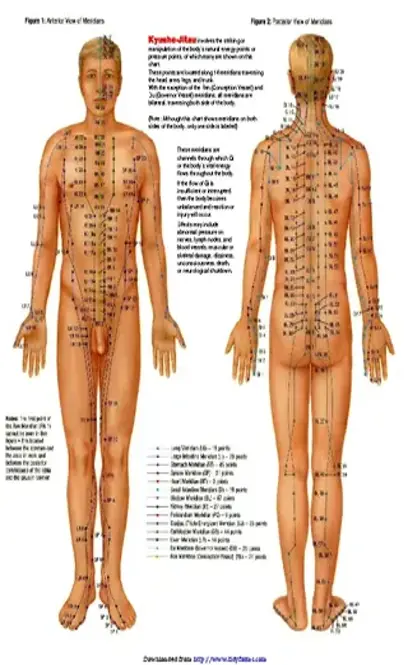 Pressure Point Chart 2