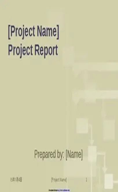 Project Report Template