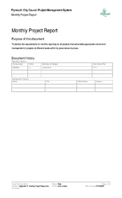 Project Risk Report Template